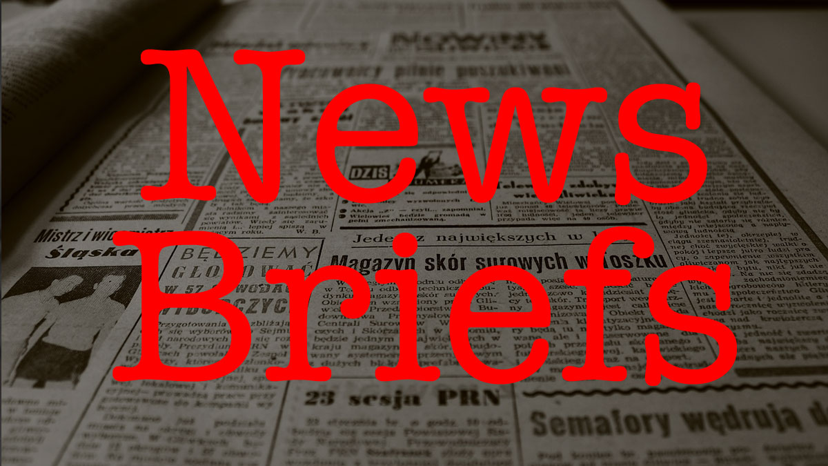 News Report - News Brief